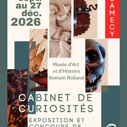 Exposition Cabinet de curiosités