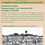 Exposition Camargue sauvage