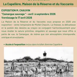 Exposition Camargue sauvage