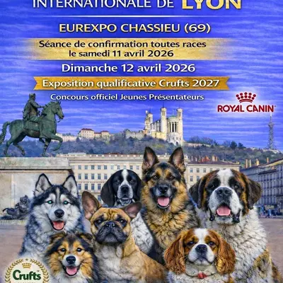 Exposition Canine Internationale