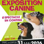 Exposition canine