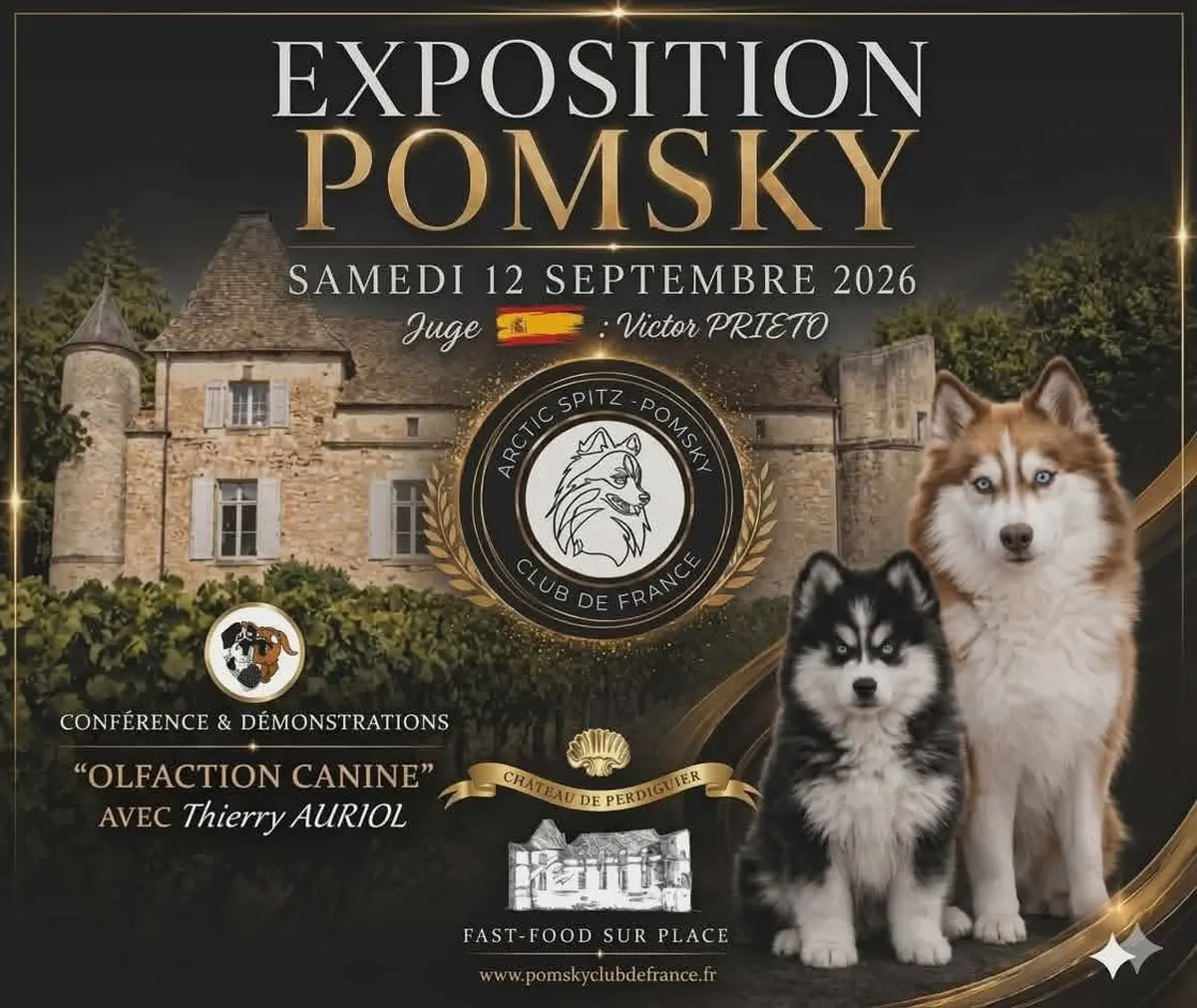 Exposition Canine Pomsky