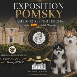 Exposition Canine Pomsky