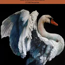 Exposition CAPTON