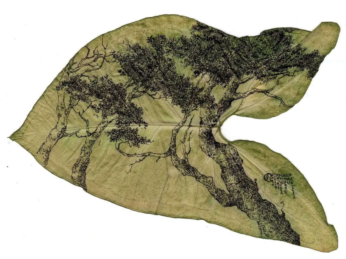 Exposition Carole Nouet Sophie Blanc