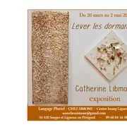 Exposition Catherine Libmann - Plasticienne de la fibre