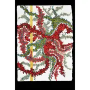 Exposition: CathieCach - Encre aquarelle