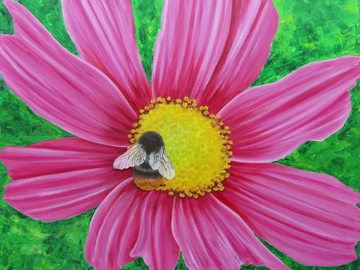 Exposition Céline Burel