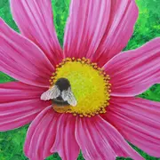 Exposition Céline Burel