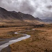Exposition « Cheminement En Nouvelle Zélande »