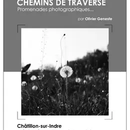 Exposition « Chemins de traverse »