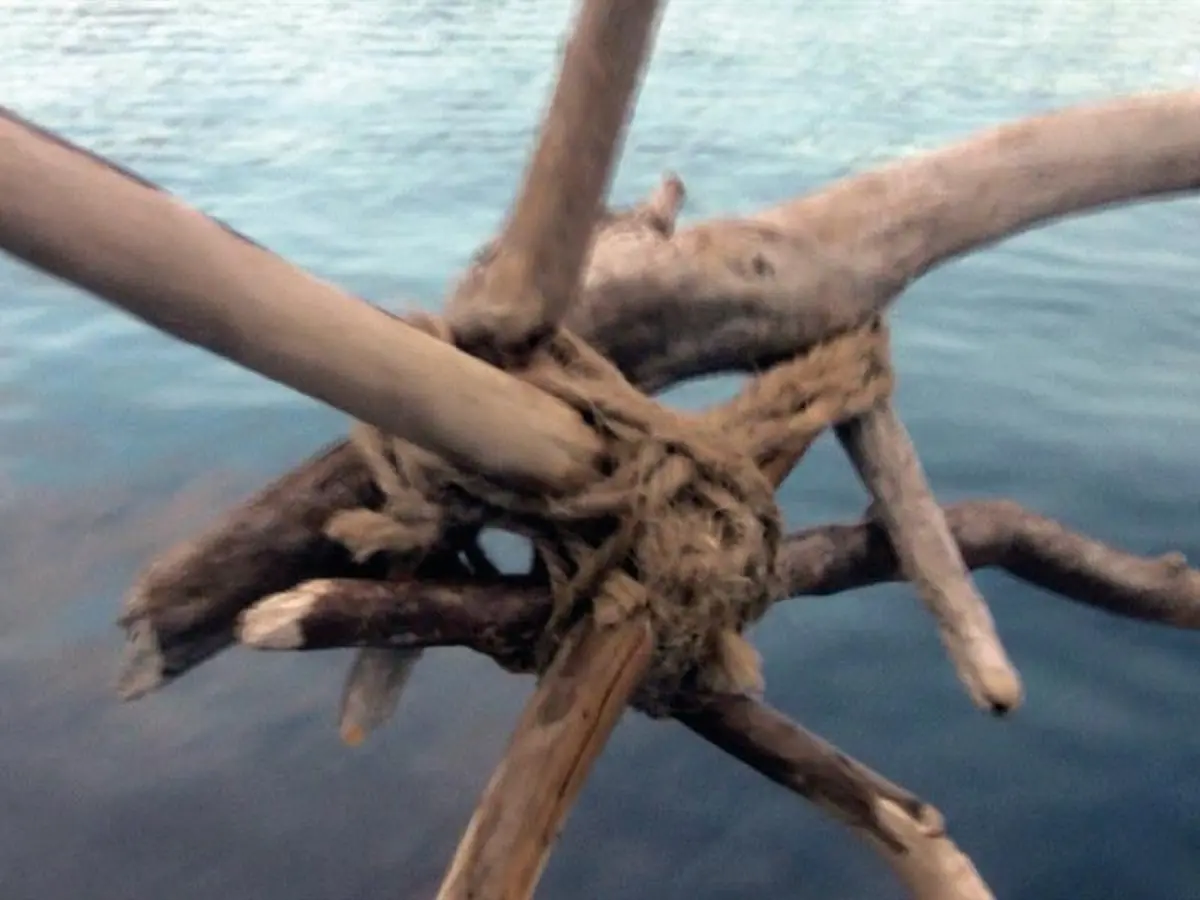 Exposition Ciel, Ruisseau, Racines