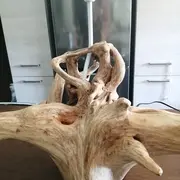 Exposition | Claude MIGOT - Sculpture & Marie-Paule SACRISTE - Peinture