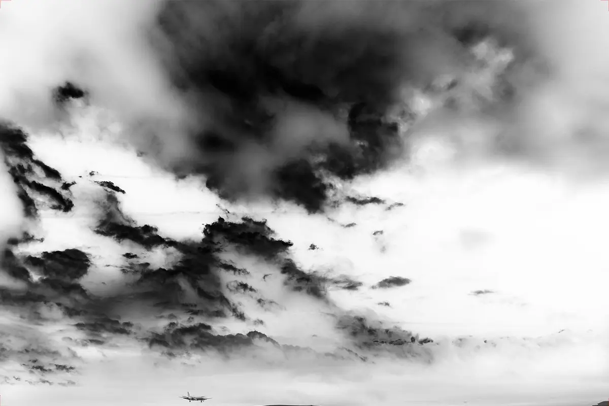 Exposition: coalition, art écologie et territoires