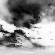 Exposition: coalition, art écologie et territoires