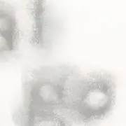 Exposition collective