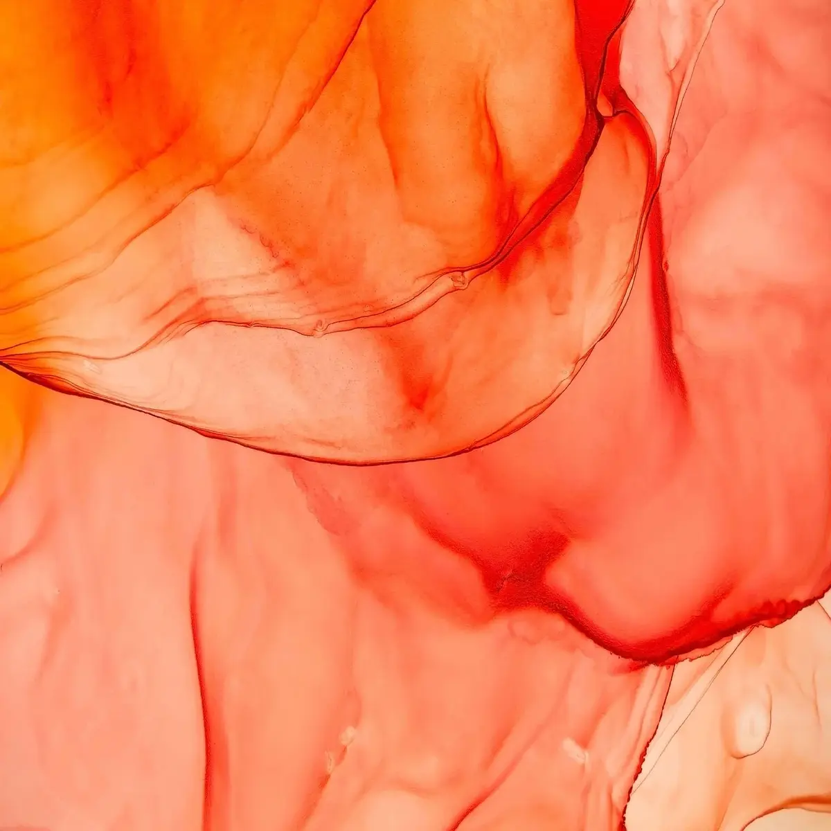 Exposition collective au Tympan