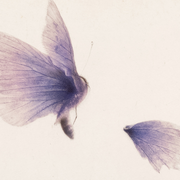 Exposition collective gravure RÉCITS - œuvre sur papier à Paris : Nouveaux regards