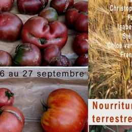 exposition collective Nourritures terrestres
