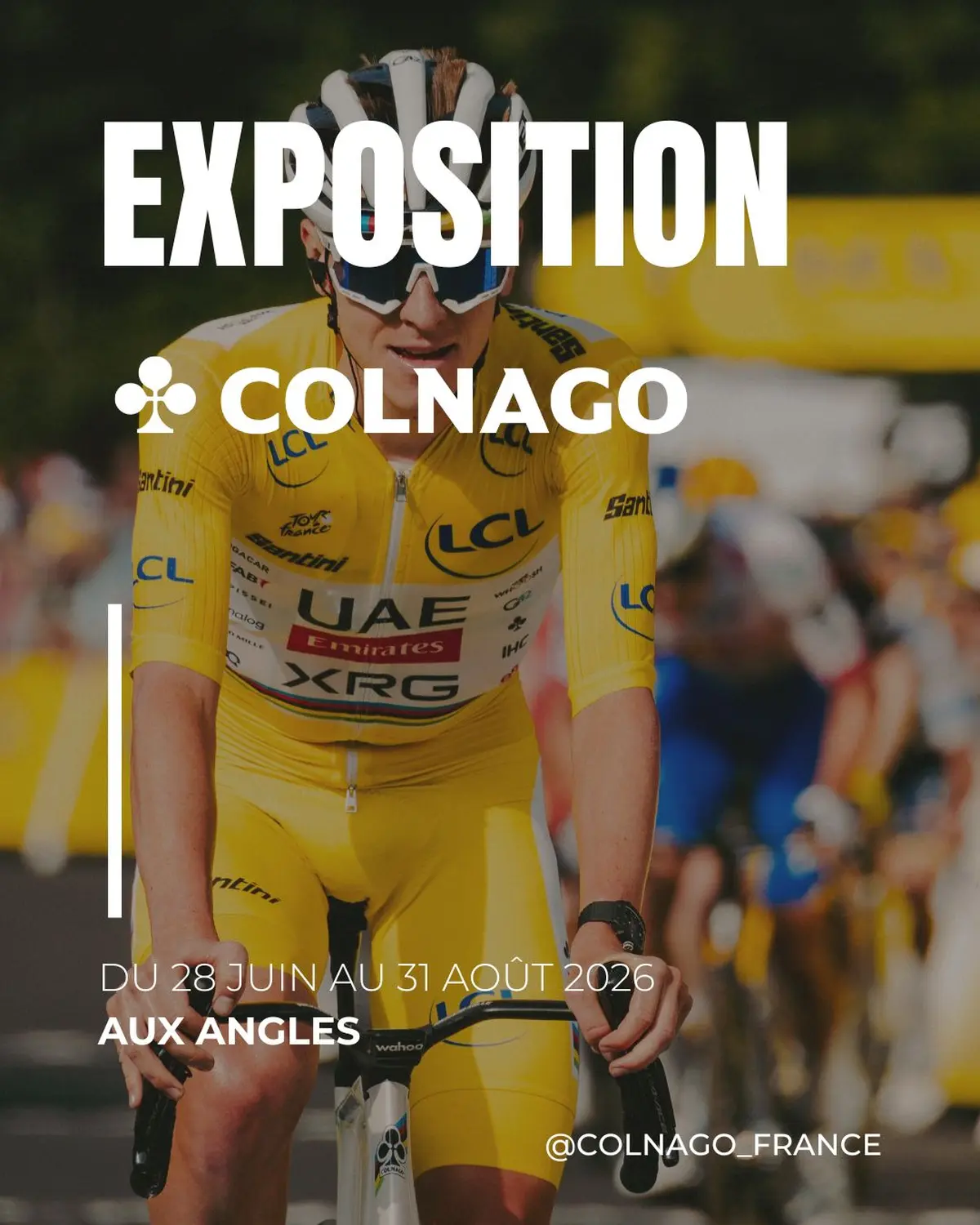 Exposition Colnago Aux Angles : Des Vélos De Légende