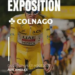 Exposition Colnago Aux Angles : Des Vélos De Légende