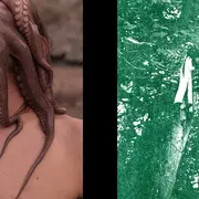 Exposition Créatures fantastiques au Donjon de Niort