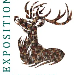 Exposition d'Agathe Lejard