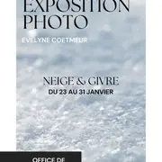 Exposition d'Evelyne COETMEUR