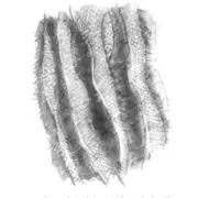 Exposition Dans l'écart du dessin