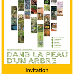 Exposition : Dans la peau d'un arbre