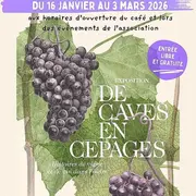Exposition De caves en cépages, histoire de la vigne et du vin dans l'Indre