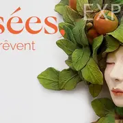 Exposition de céramique à Guebwiller : Muriel Persil investit le Musée Théodore Deck