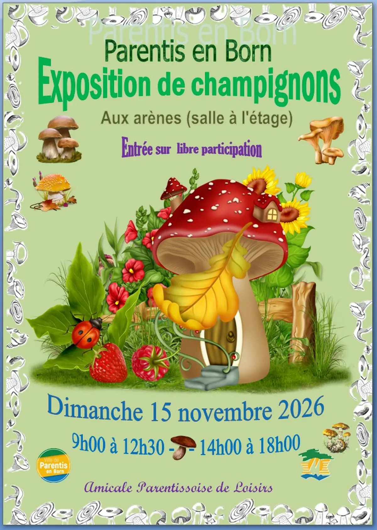 Exposition de champignons