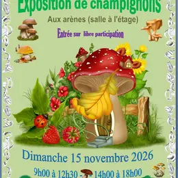 Exposition de champignons