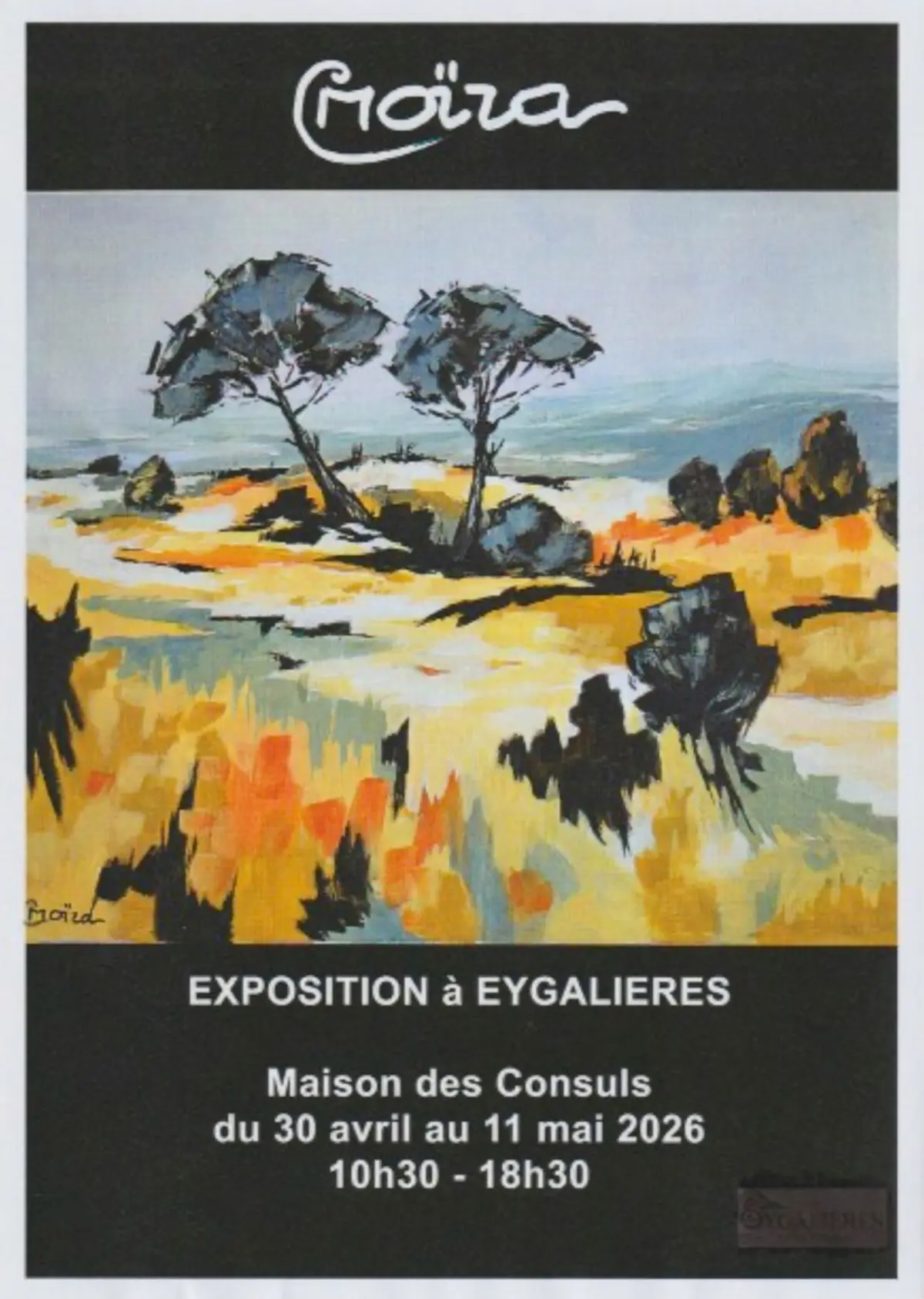 Exposition de CMoïra : Lumière & Paysage
