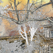 Exposition de dessins