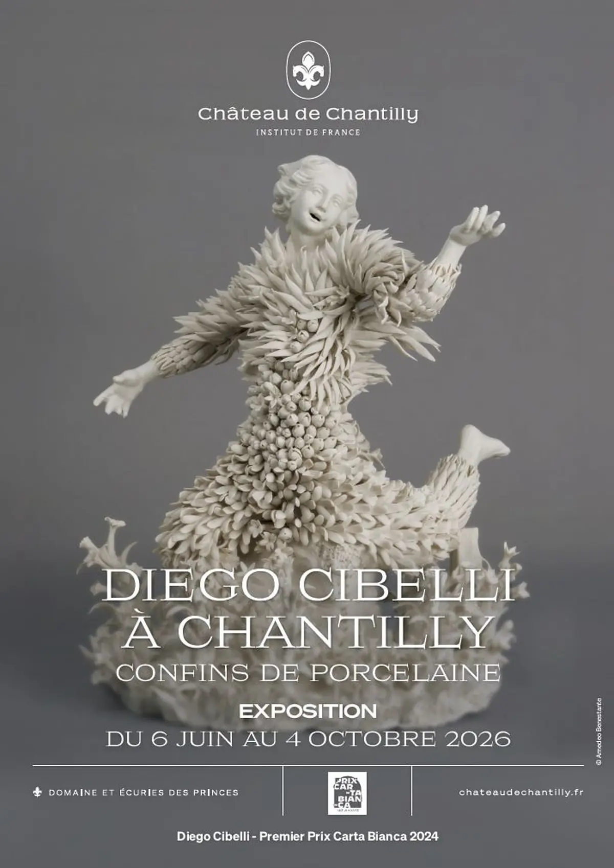 Exposition de Diego Cibelli au Château de Chantilly : Confins de porcelaine