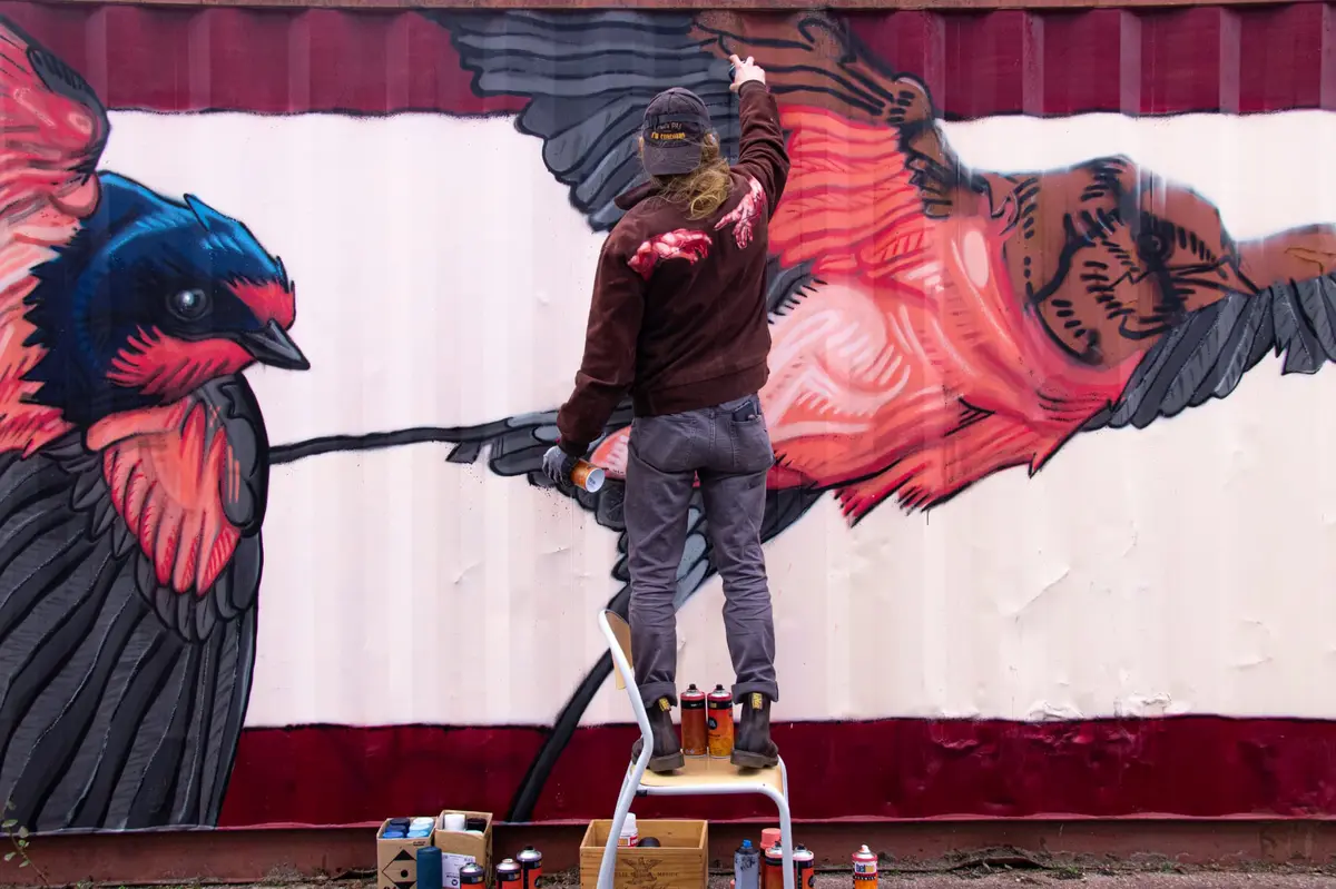 Exposition de graffittis