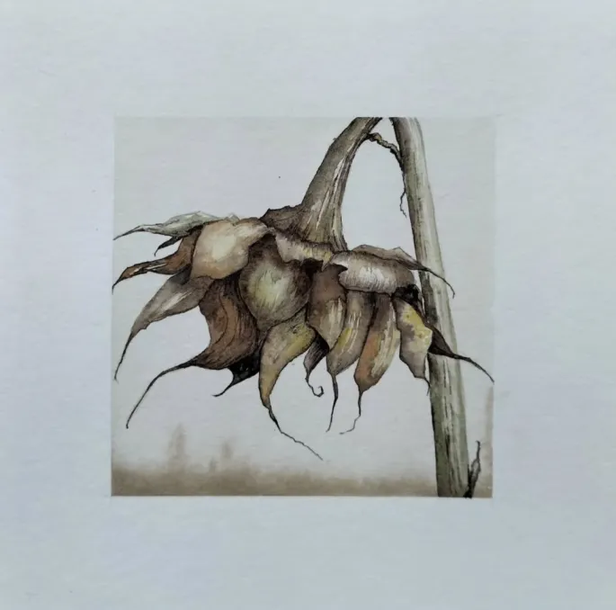 Exposition de Isabelle Collett