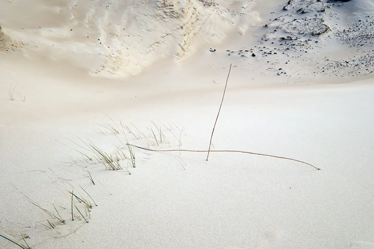Exposition de Jean-Philippe Gauvrit