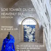 Exposition de Joanna Staniszkis : Soie tombée du ciel