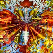 Exposition de l'artiste Christine Mourgues