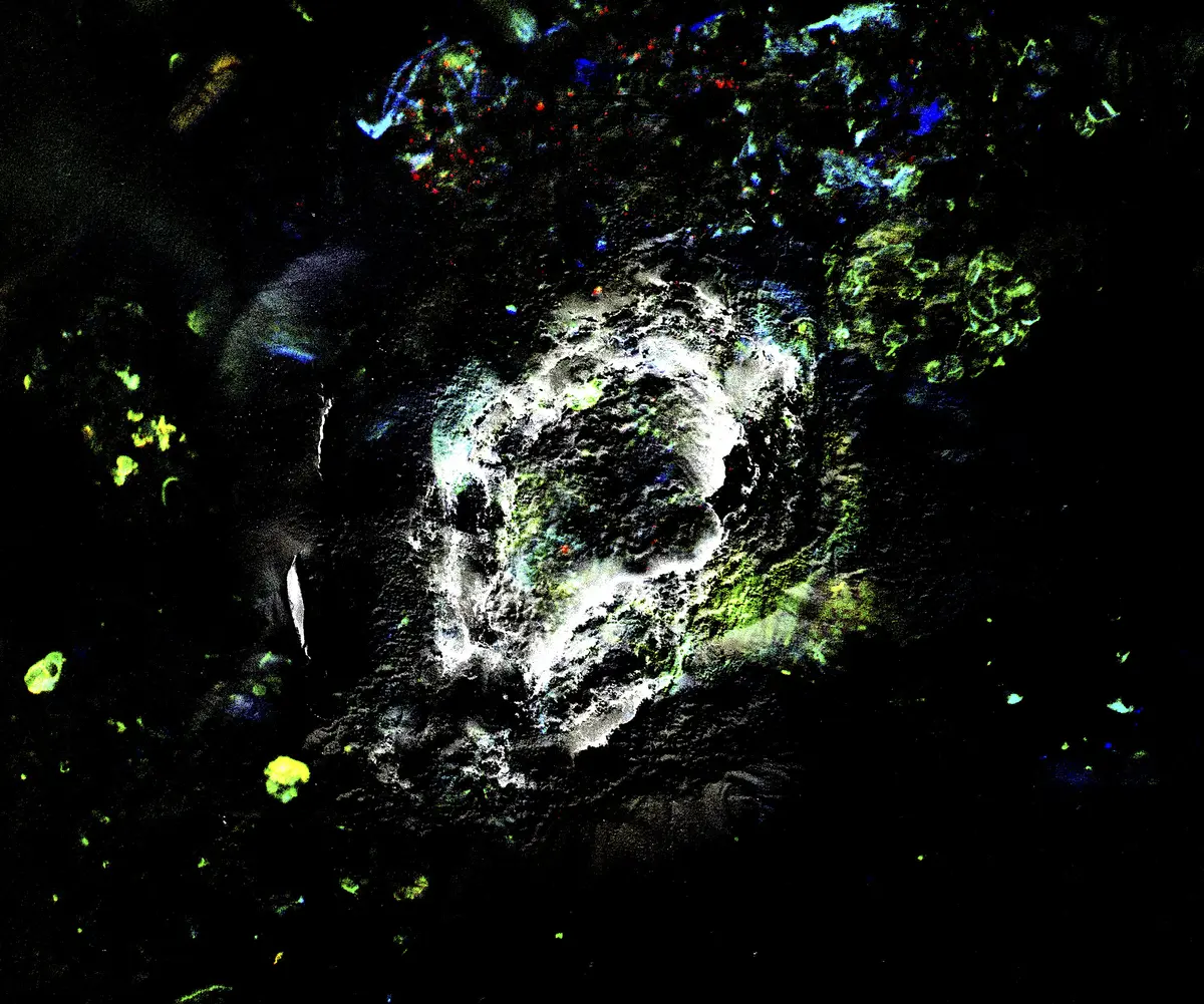 Exposition de  l'artiste Tadzio