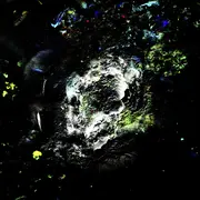 Exposition de  l'artiste Tadzio