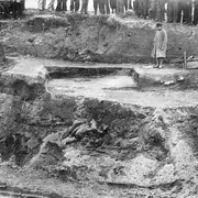 Exposition - De l'or dans la sablière