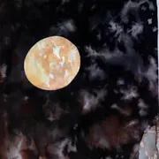 Exposition de Madeleine Sarrouy