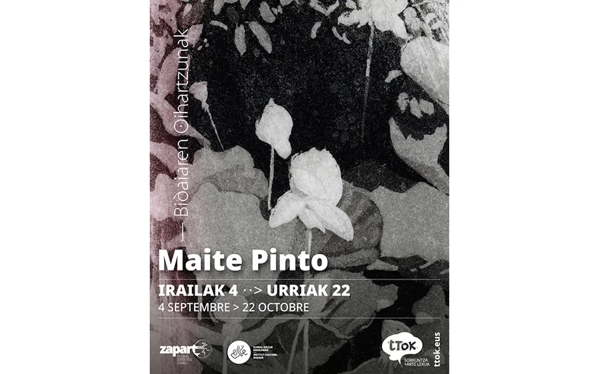 Exposition de Maité PINTO : Bidaiaren oihartzunak - Echos de voyage