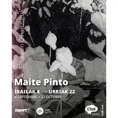 Exposition de Maïté PINTO Bidaiaren oihartzunak - Echos de voyage