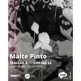 Exposition de Maïté PINTO Bidaiaren oihartzunak - Echos de voyage