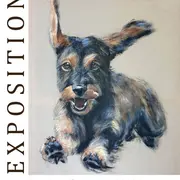 Exposition de Marie-Joëlle Cédat